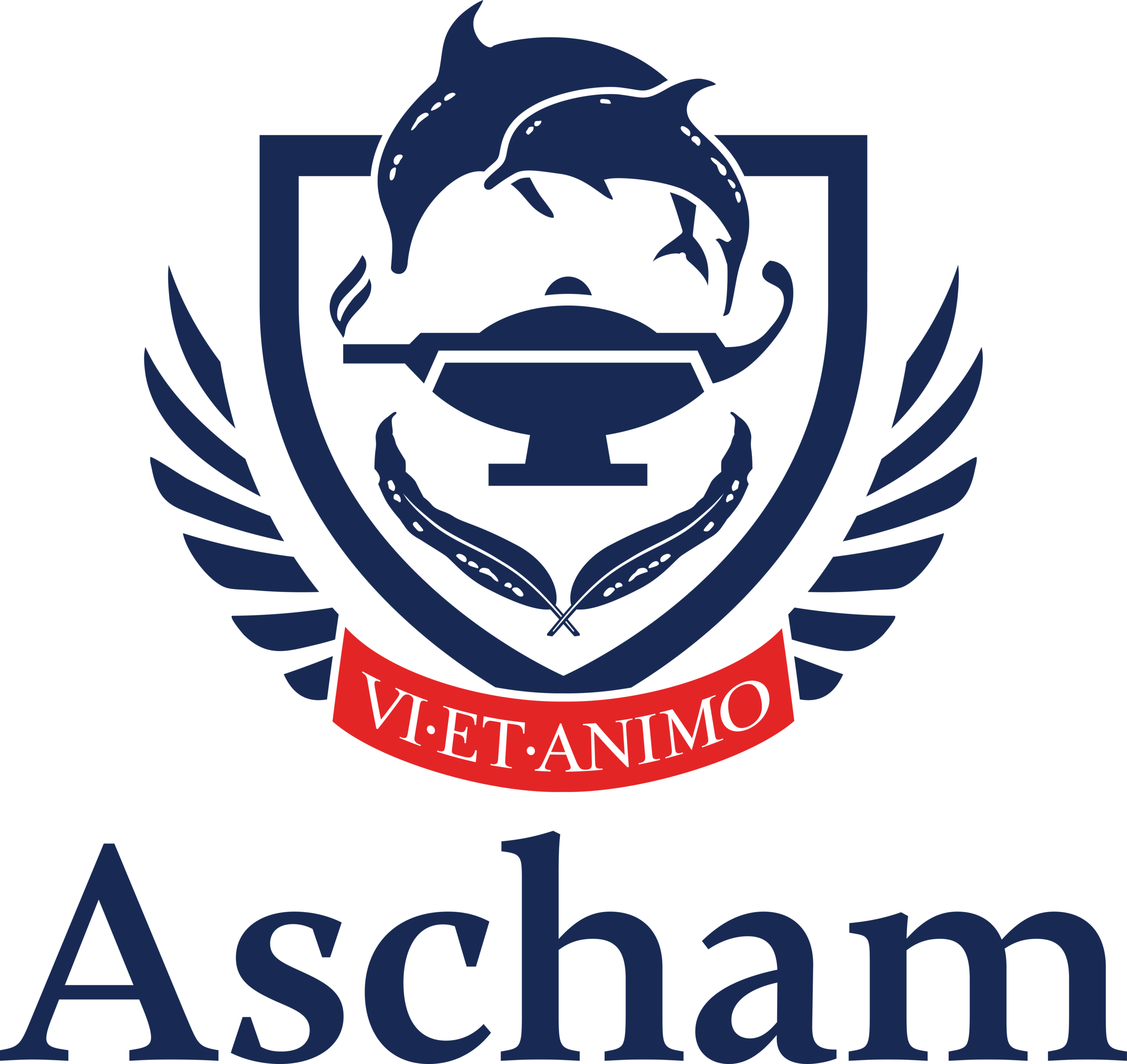 NovaEd - Ascham School