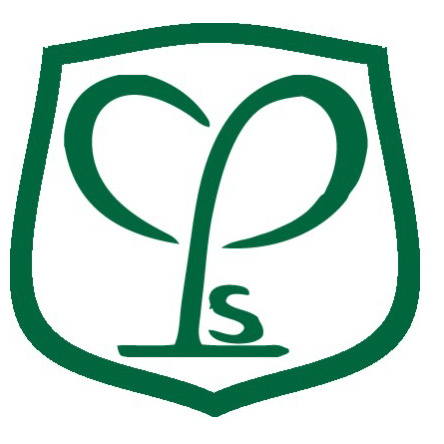 NovaEd - Creative Primary School