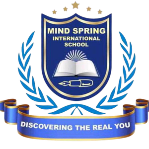 NovaEd - Mindspring School