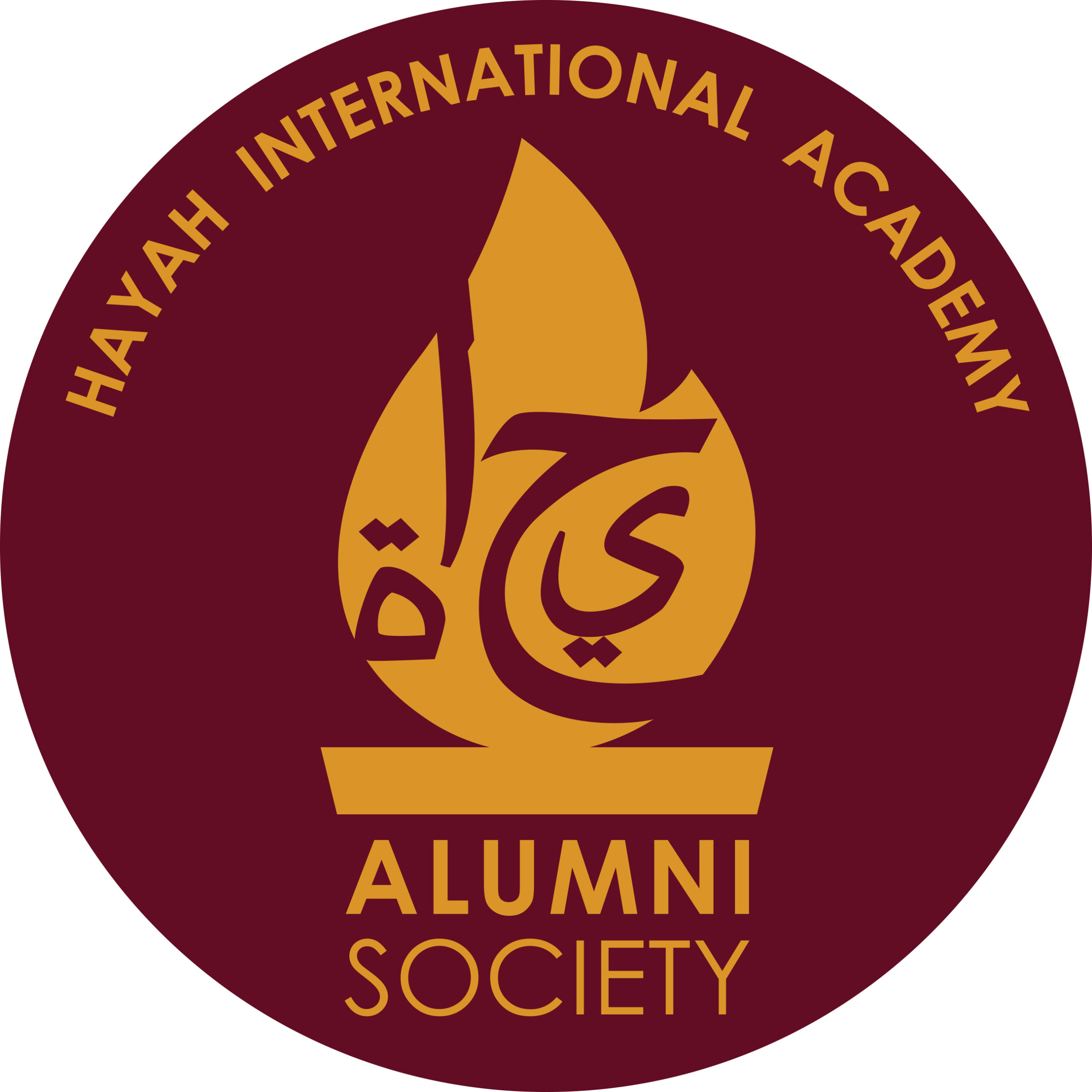 NovaEd - Hayah International Academy