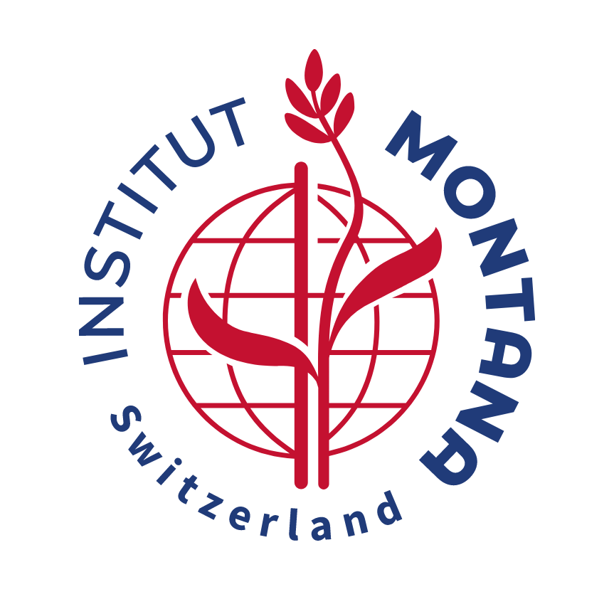 NovaEd - Institut Montana Switzerland