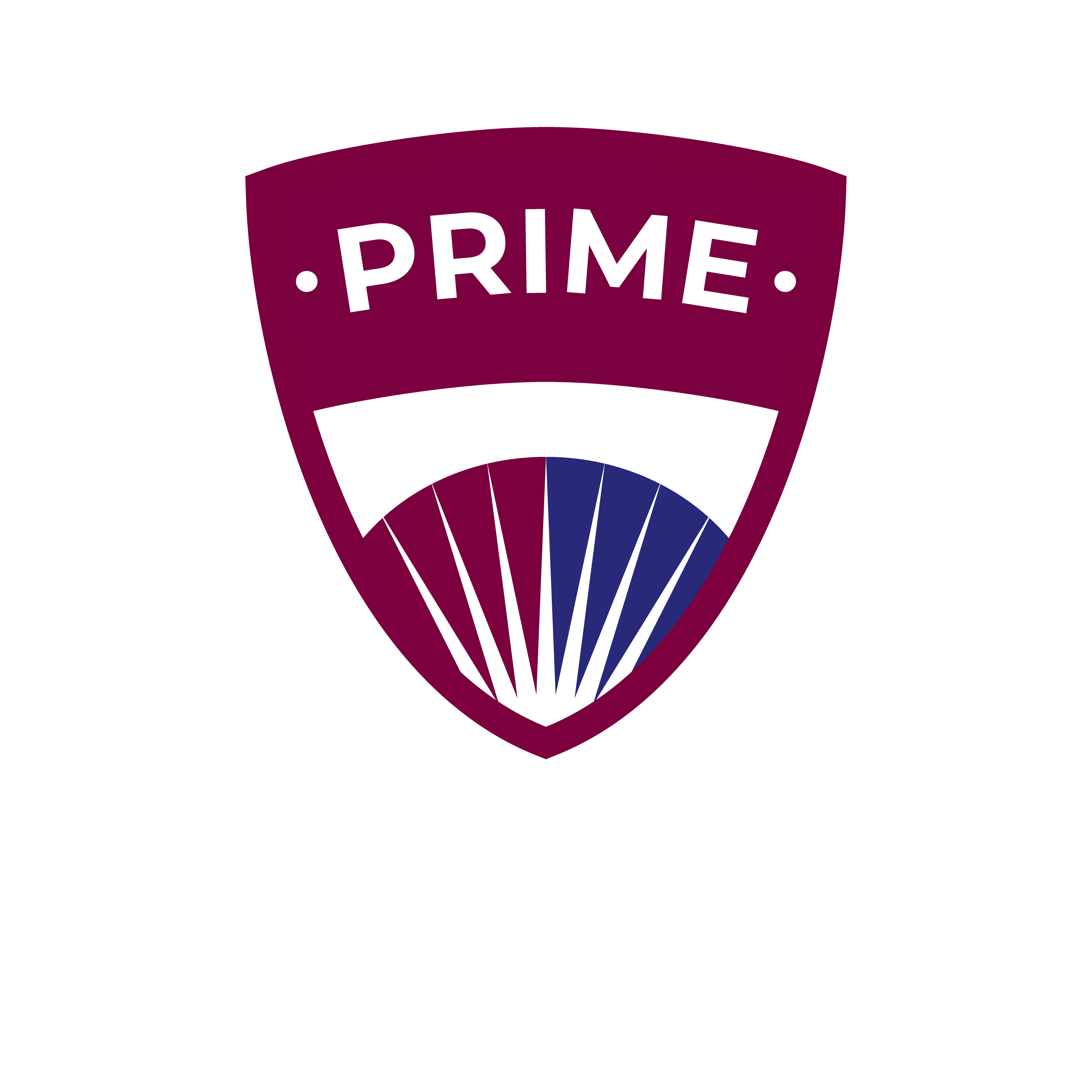 NovaEd - Prime International Secondary School