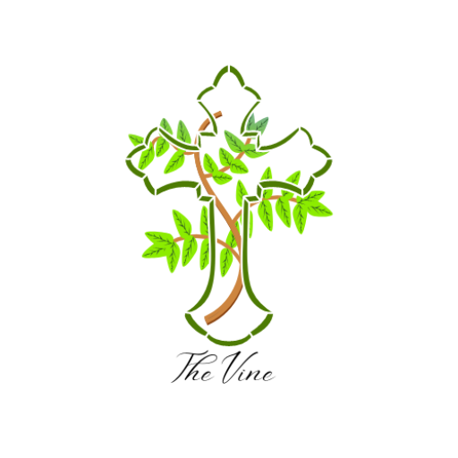 NovaEd - The Vine International School
