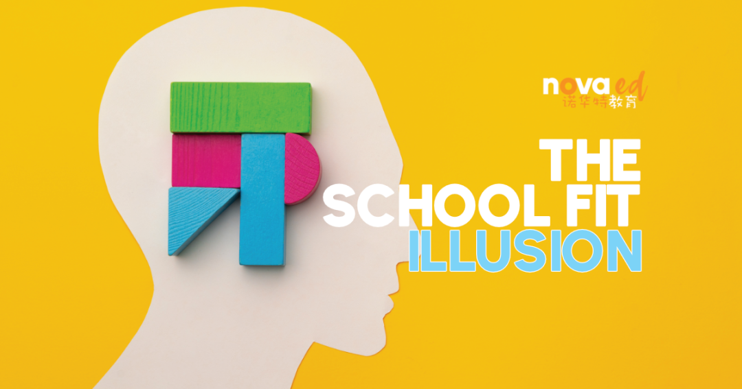 The School Fit Illusion: Why Reputation, Rankings, and Fees Don’t Predict Student Success